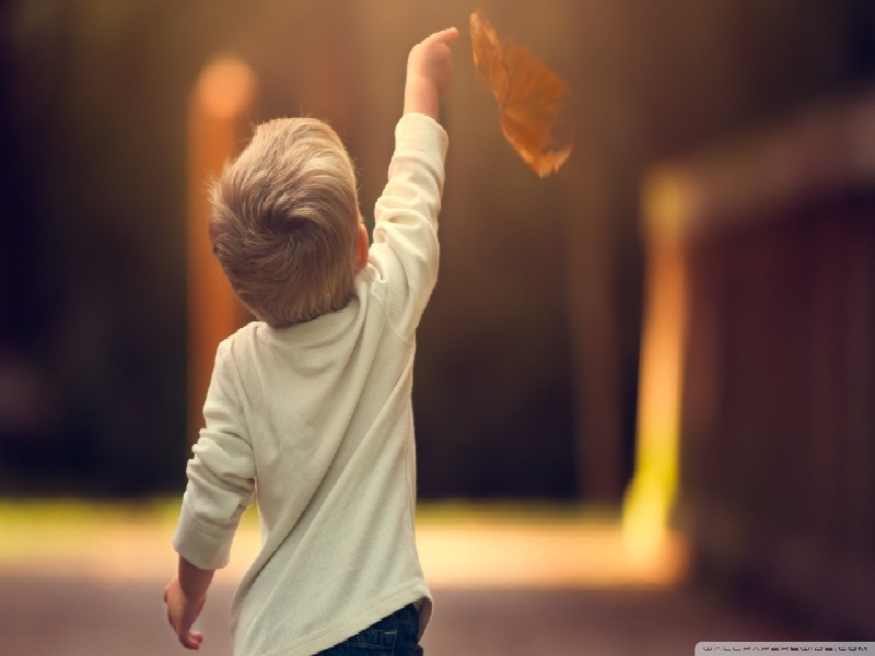 试管之前检查费用试管移植以后兴奋amh过高 做试管